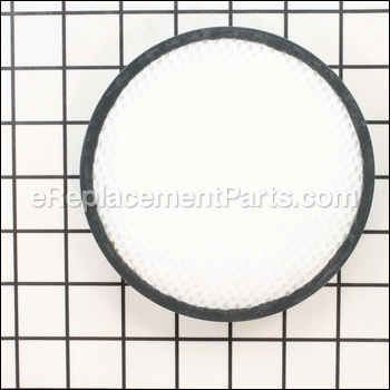Primary Filter - H-303903001:Hoover