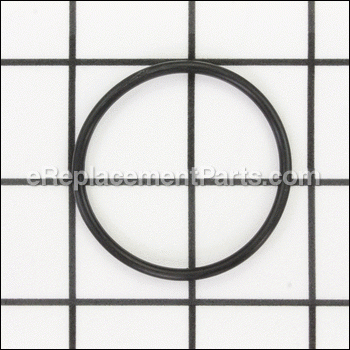 Center Pipe O-ring - 191517:Pentair