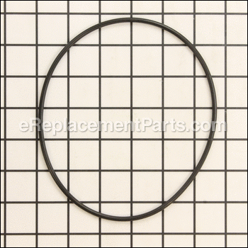 O-ring Valve Body - 154493:Pentair