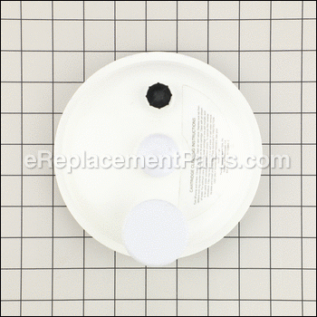 Lid Assembly, Comp. - R172385A:Pentair