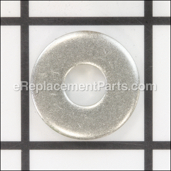 Washer, For Filter Clamp - 53006300Z:Pentair