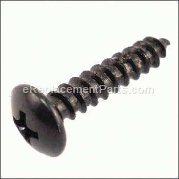 Screw (M4 X 22 mm, Pan HD.) - 089077001077:Ridgid