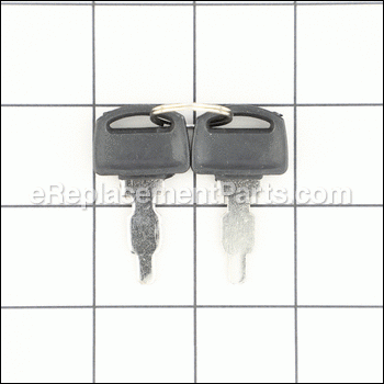 Key Only - 1750877YP:Simplicity