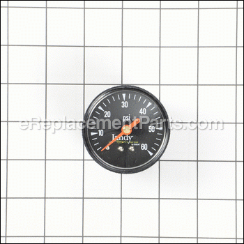 Pressure Gauge - R0359600:Zodiac