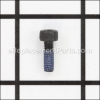 Seal Lock Hex. Socket Hd. Bolt - 983162:Metabo HPT (Hitachi)